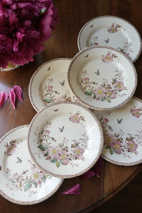 6 assiettes plates GIEN Mai