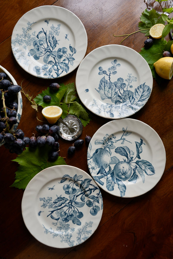 4 assiettes plates Creil et Montereau Pomone
