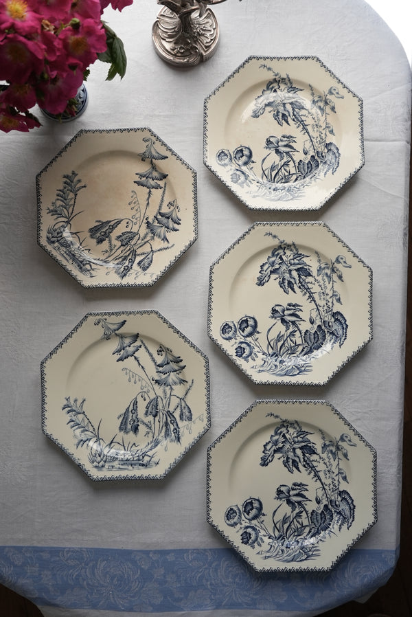 5 assiettes Clairefontaine Indiana
